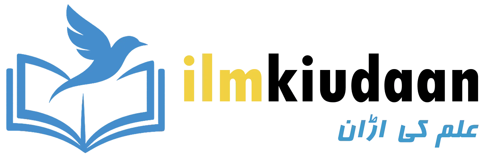 ilmkiudaan logo